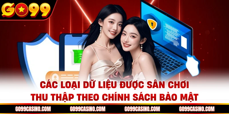 Các loại dữ liệu được sân chơi thu thập theo chính sách bảo mật